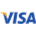 Visa payment accepted